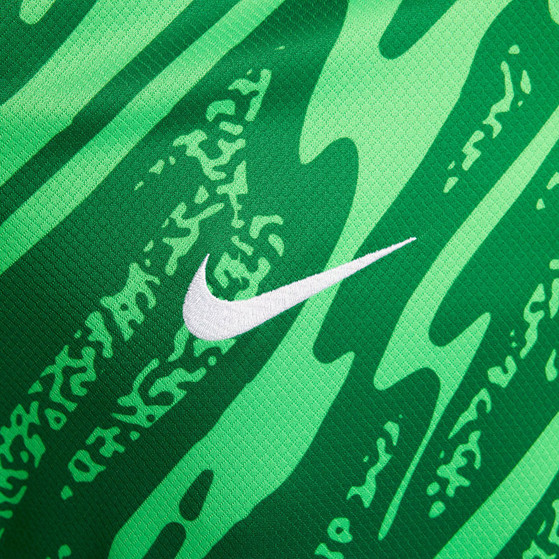 Nike Nederland Thuis Keepersshirt 2024/2026