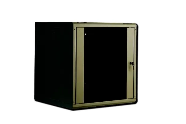 Digitus DN-19 16-U-SW, Vægmonteret stativ, 16U, 100 kg, 30 kg, Sort