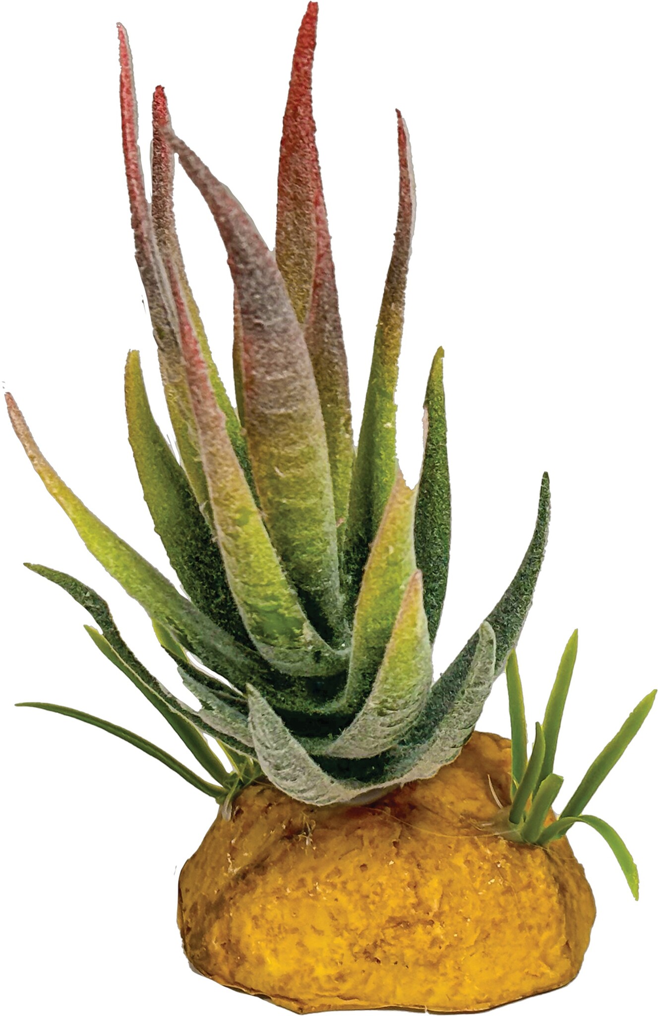 Repto Terrarium Kunstplant Aloe Red Tip