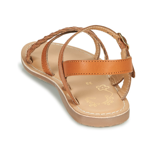 Little Mary - LIANE - Cognac
