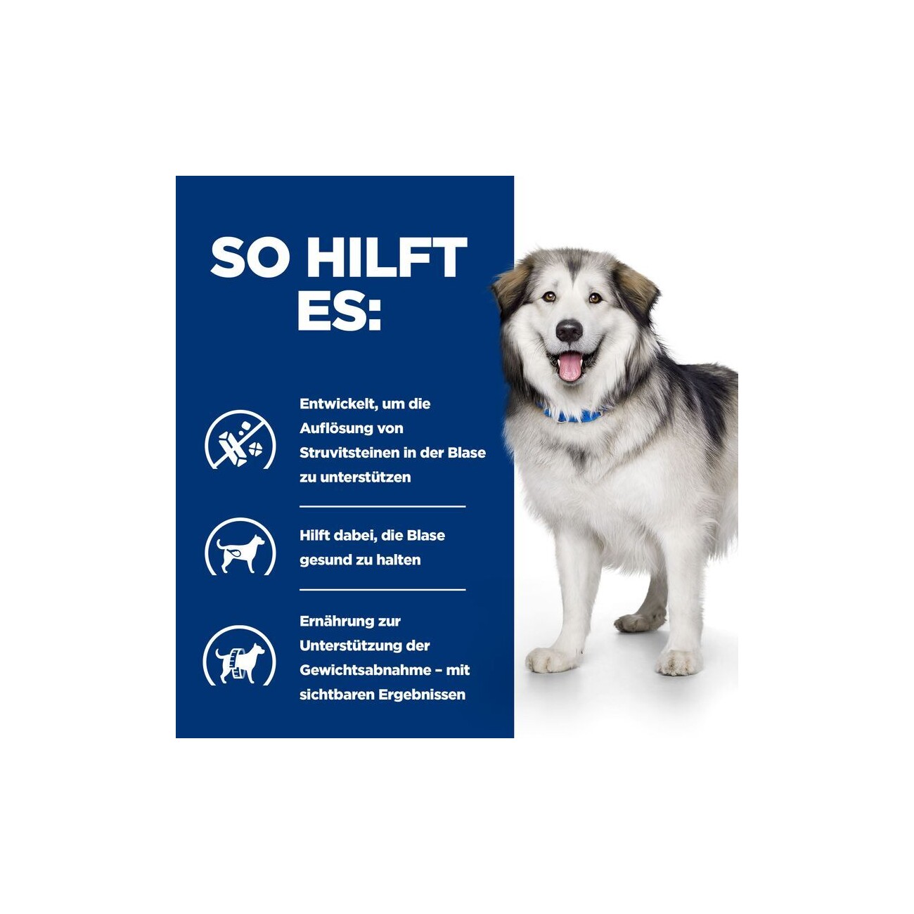 Hill's Prescription Diet c/d Multicare + Metabolic 12 kg