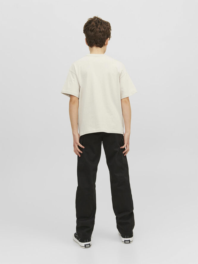 Jack & Jones JORVESTERBRO TEE SS CREW NECK NOOS Moonbeam/loose