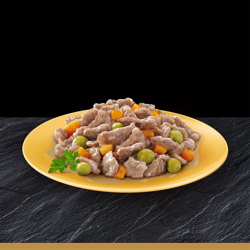 Lot Cesar 24 x 150 g pour chien