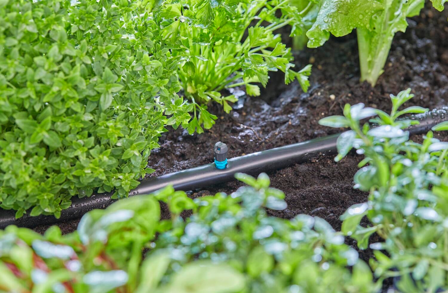 Gardena Micro Drip systeem vlaksproeier 5 stuks