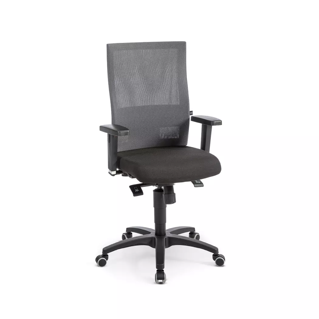 Drehstuhl X-Pander Plus