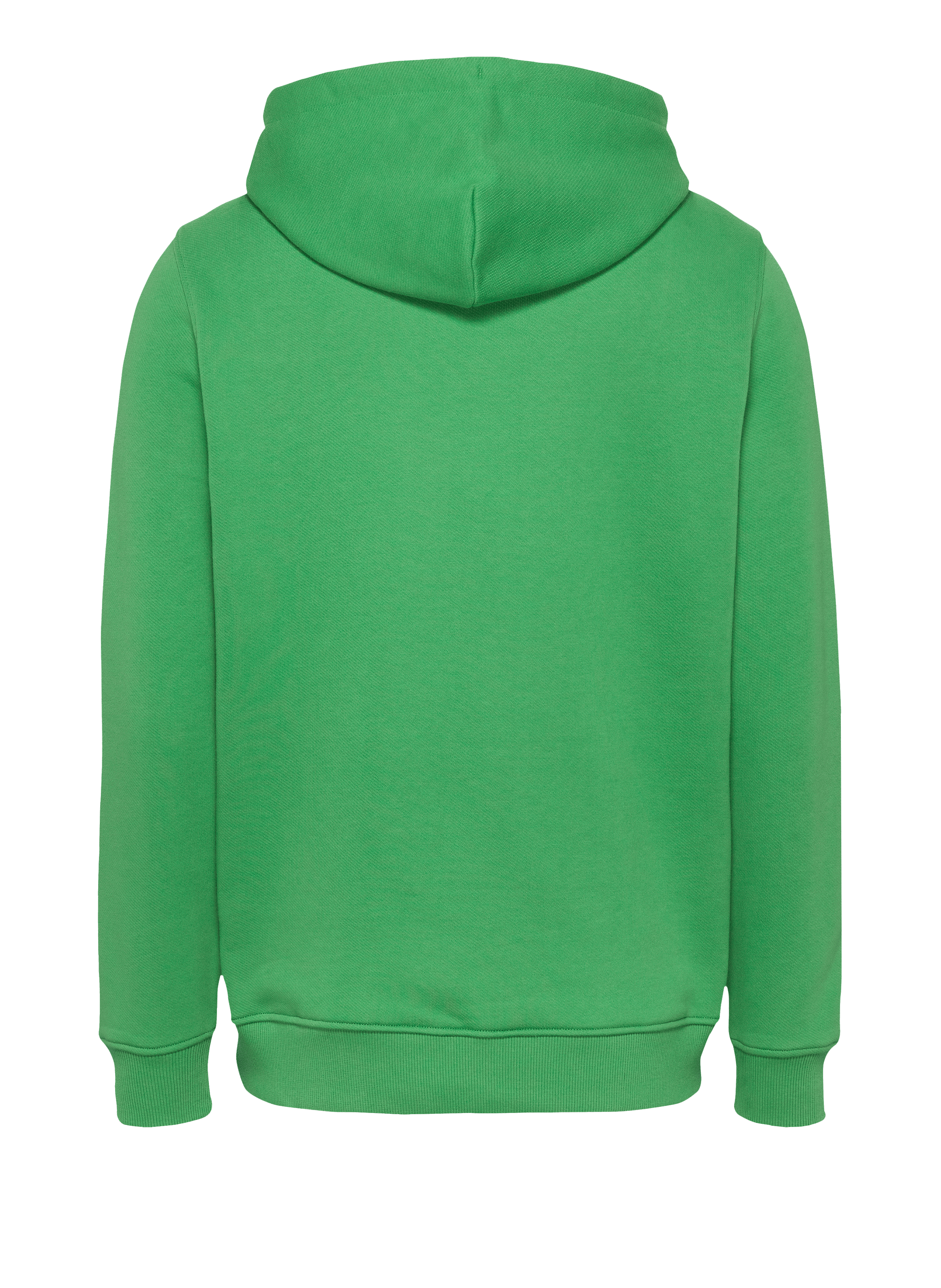 TOMMY HILFIGER Hoodie en coton - Vert
