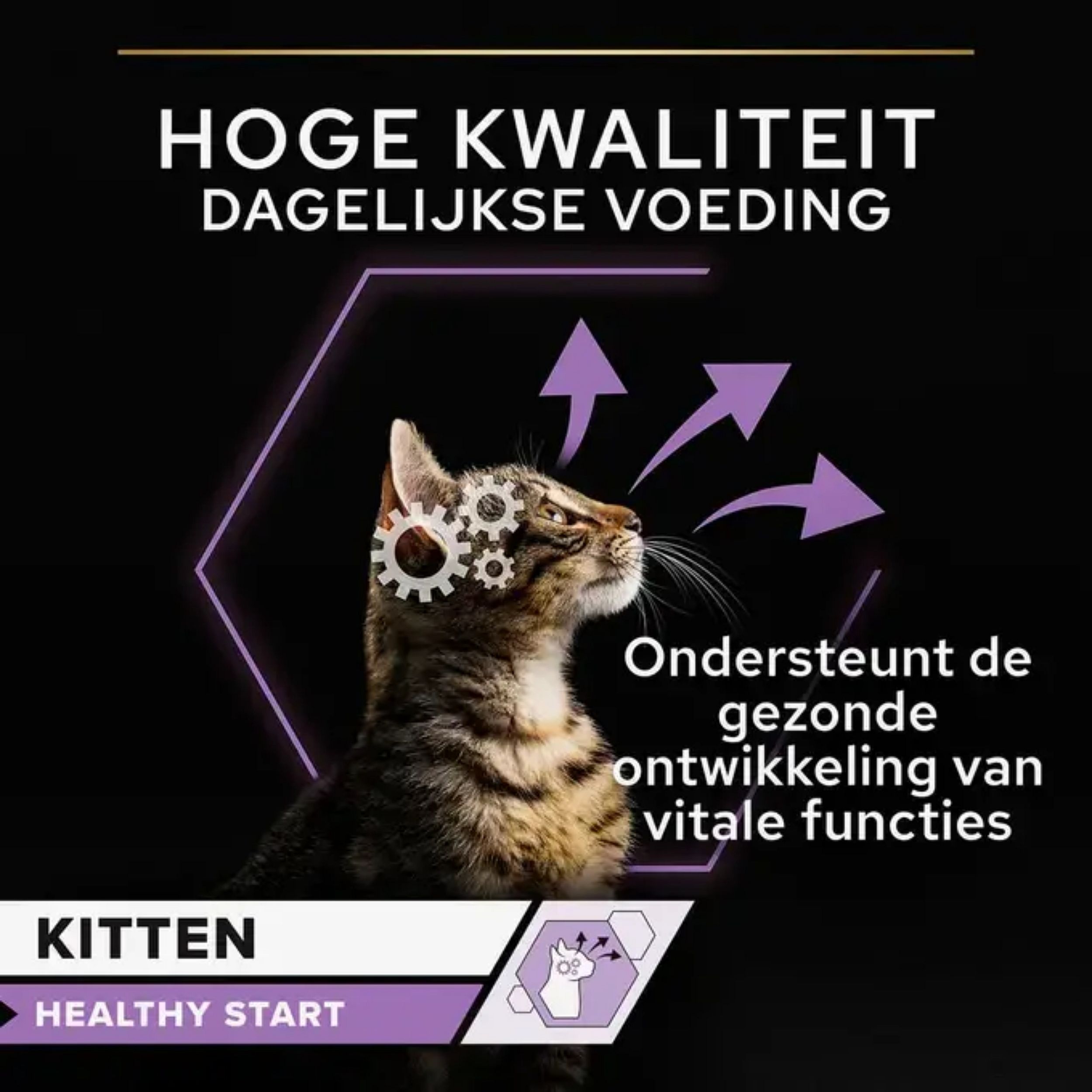 Purina Pro Plan Healthy Start Kitten | 10 x 85 gram maaltijdzakjes kalkoen | 15800.2