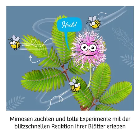 KOSMOS Mimosen-Garten / Mimosa Garden International (mehrsprachig)