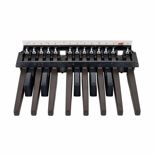 Doepfer MBP25 Electronic with 2 Pedal