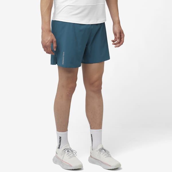 Short trail SALOMON CROSS 5'' SHORTS M