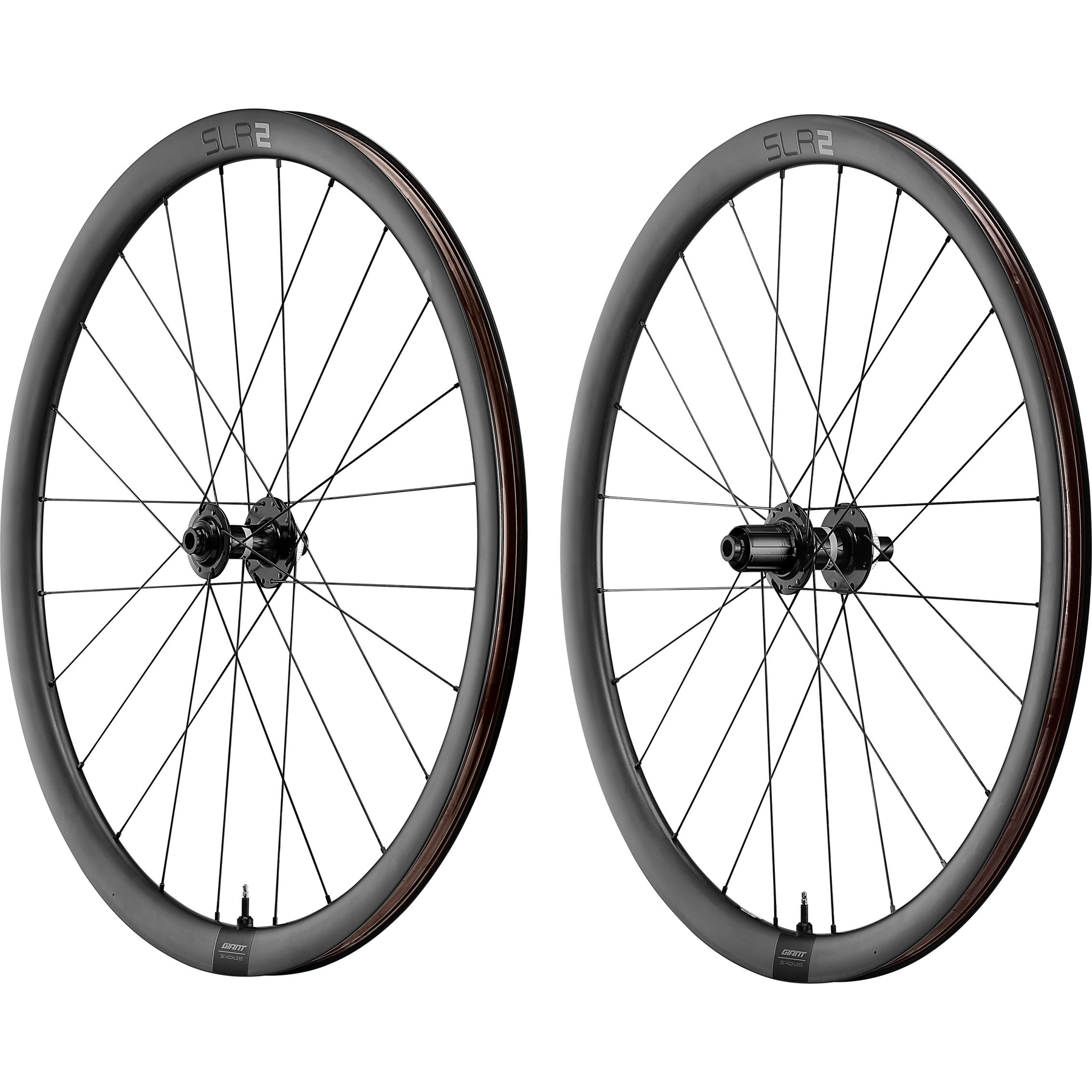 Giant SLR 2 36 Disc Racefiets Wielset