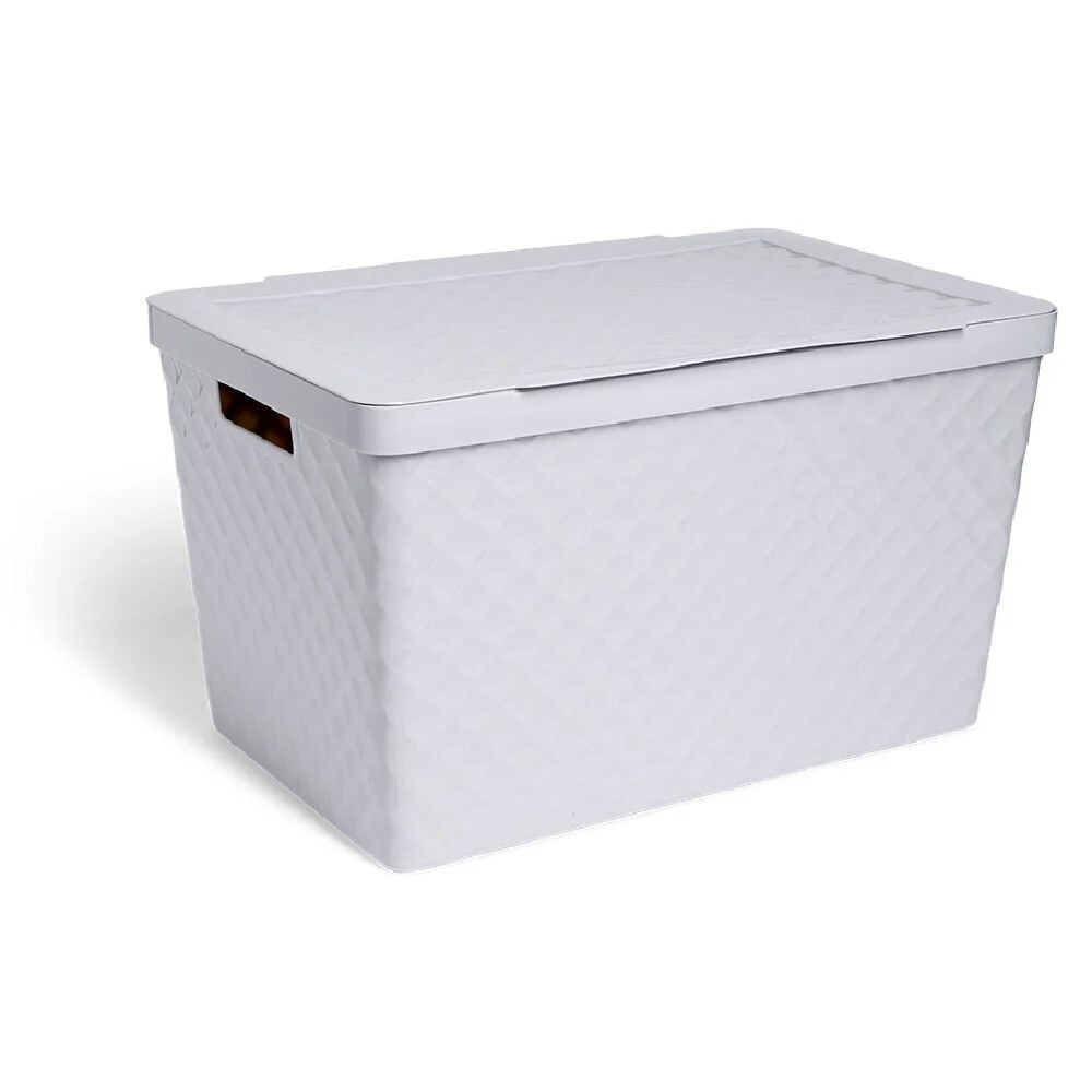 Boîte de rangement 51L plastique 56x36x32cm