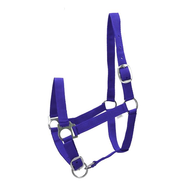 Halfter Barato Basic Blauw
