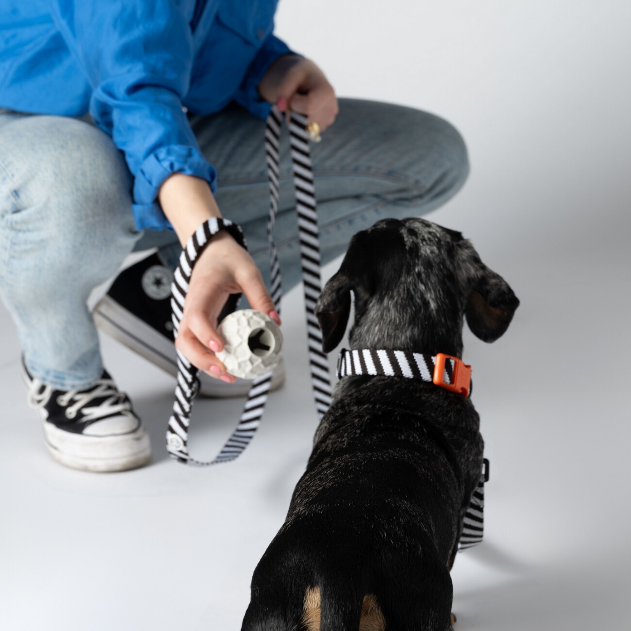 Barkalot Hundehalsband-Auslaufset schwarz/ weiß S