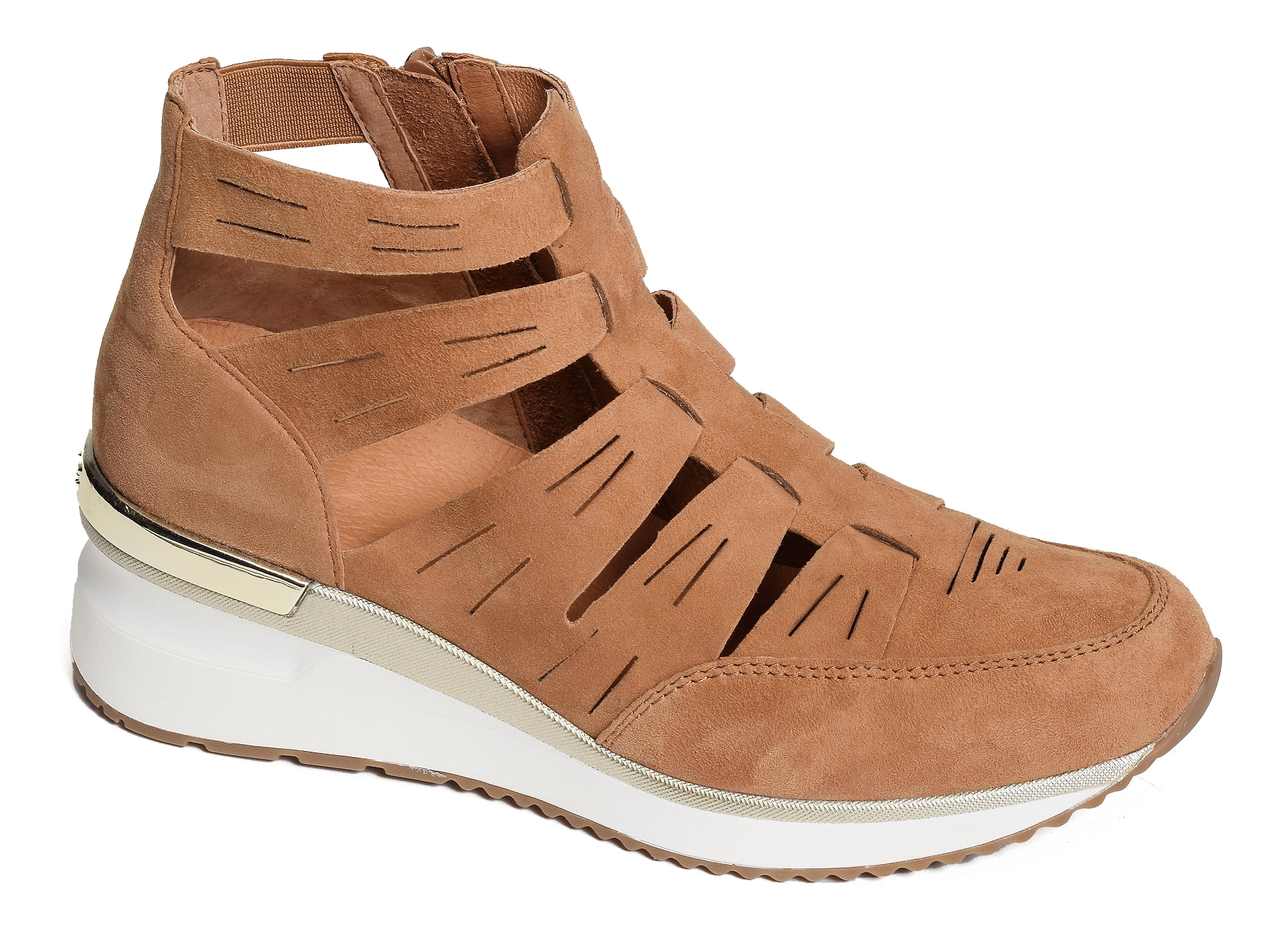Vacano camel
