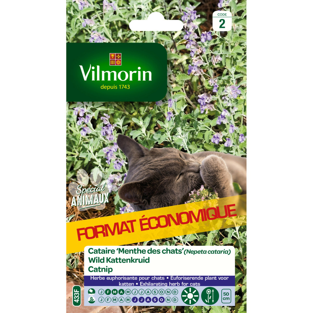 Sachet de graines cataire menthe des chats format économiqe
