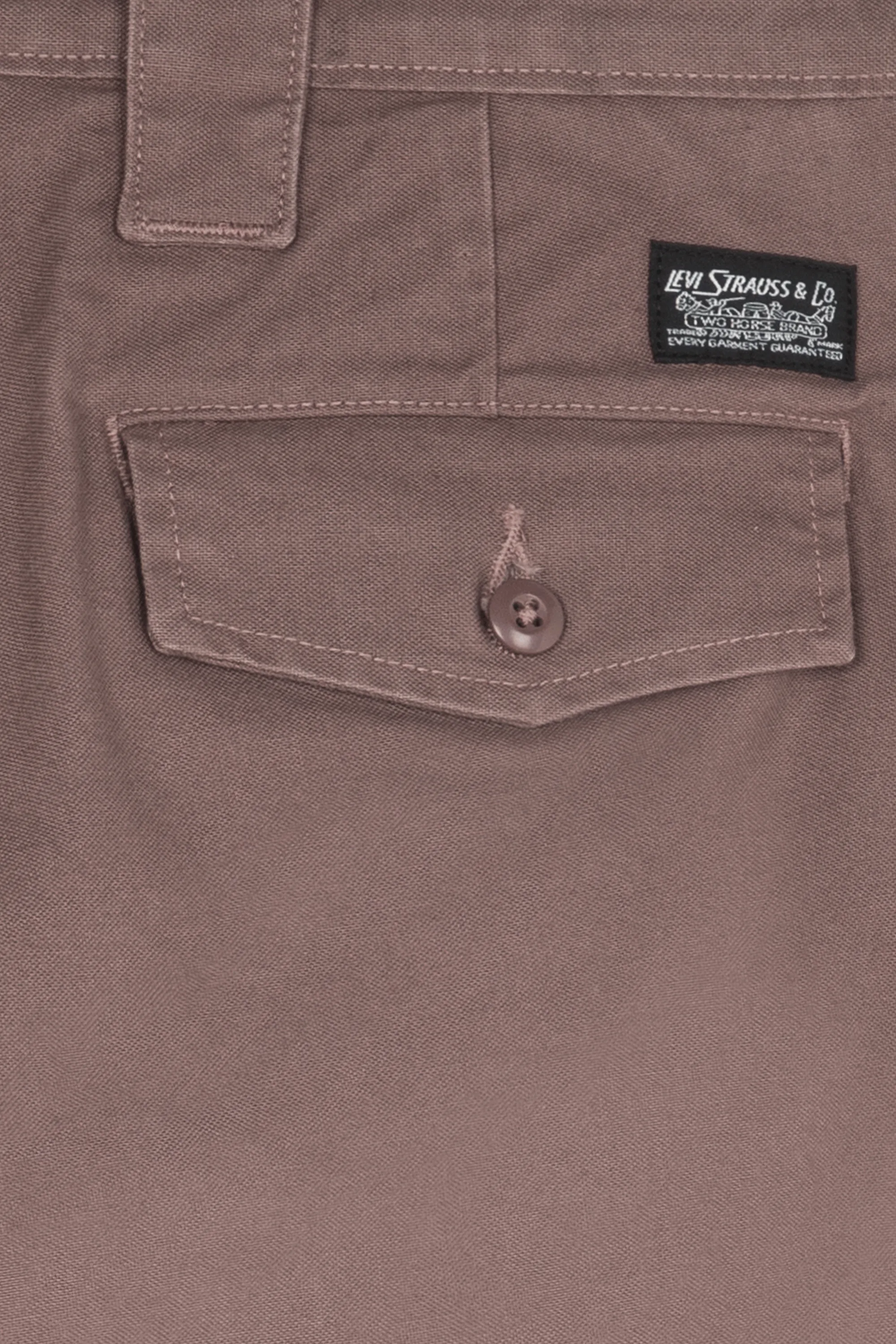 LEVI'S Cargo SKATE NEW UTILITY PANT Marron