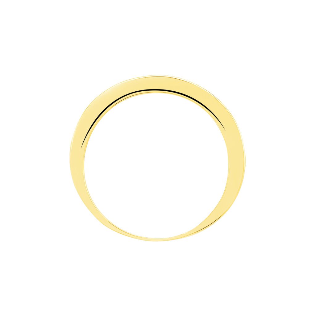 Alliance Davila Or Jaune Oxyde De Zirconium
