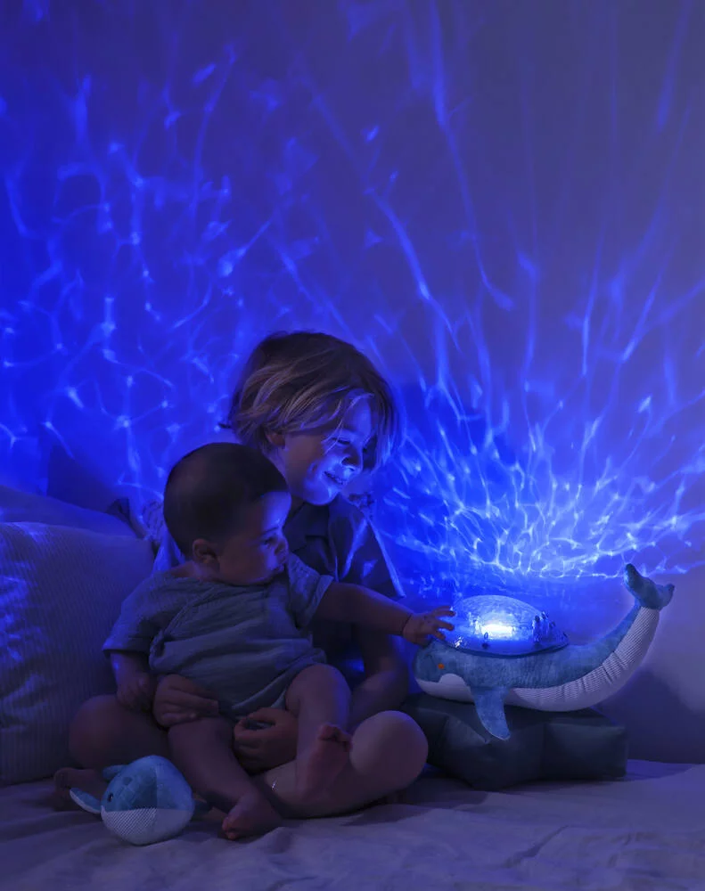 TRANQUIL WHALE™ - BLUE FAMILY