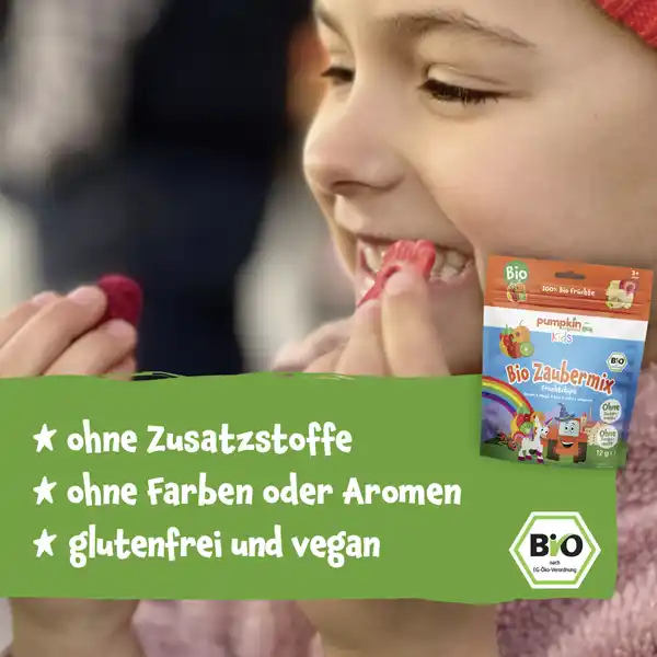 Bio Zaubermix Fruchtchips