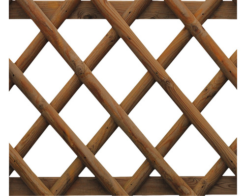 Enkele poort voor schutting 100 x 100 cm, drukgeïmpregneerd