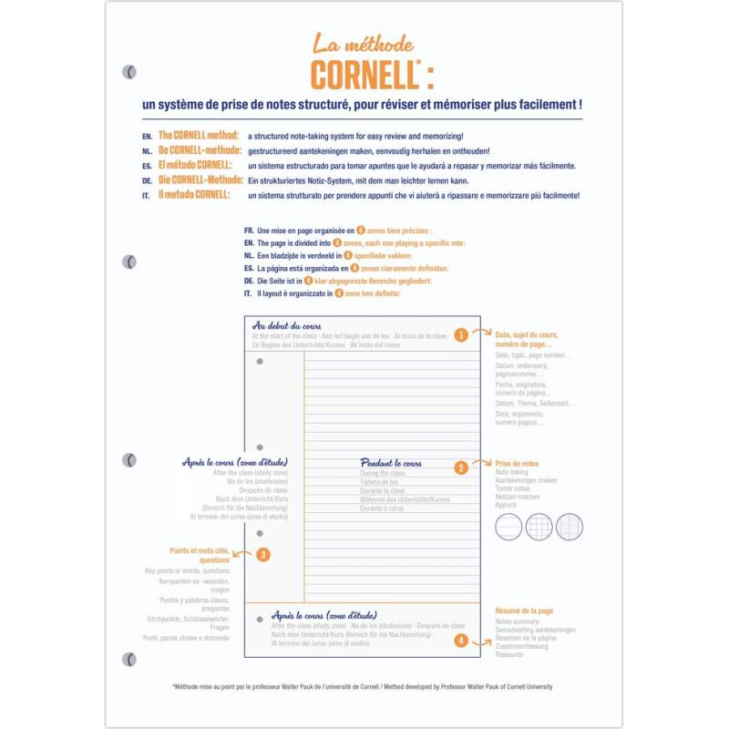 Bloc de cours CORNELL encollé grand côté A4 200 pages perforées 4 trous Cornell grands carreaux - Bleu pétrole