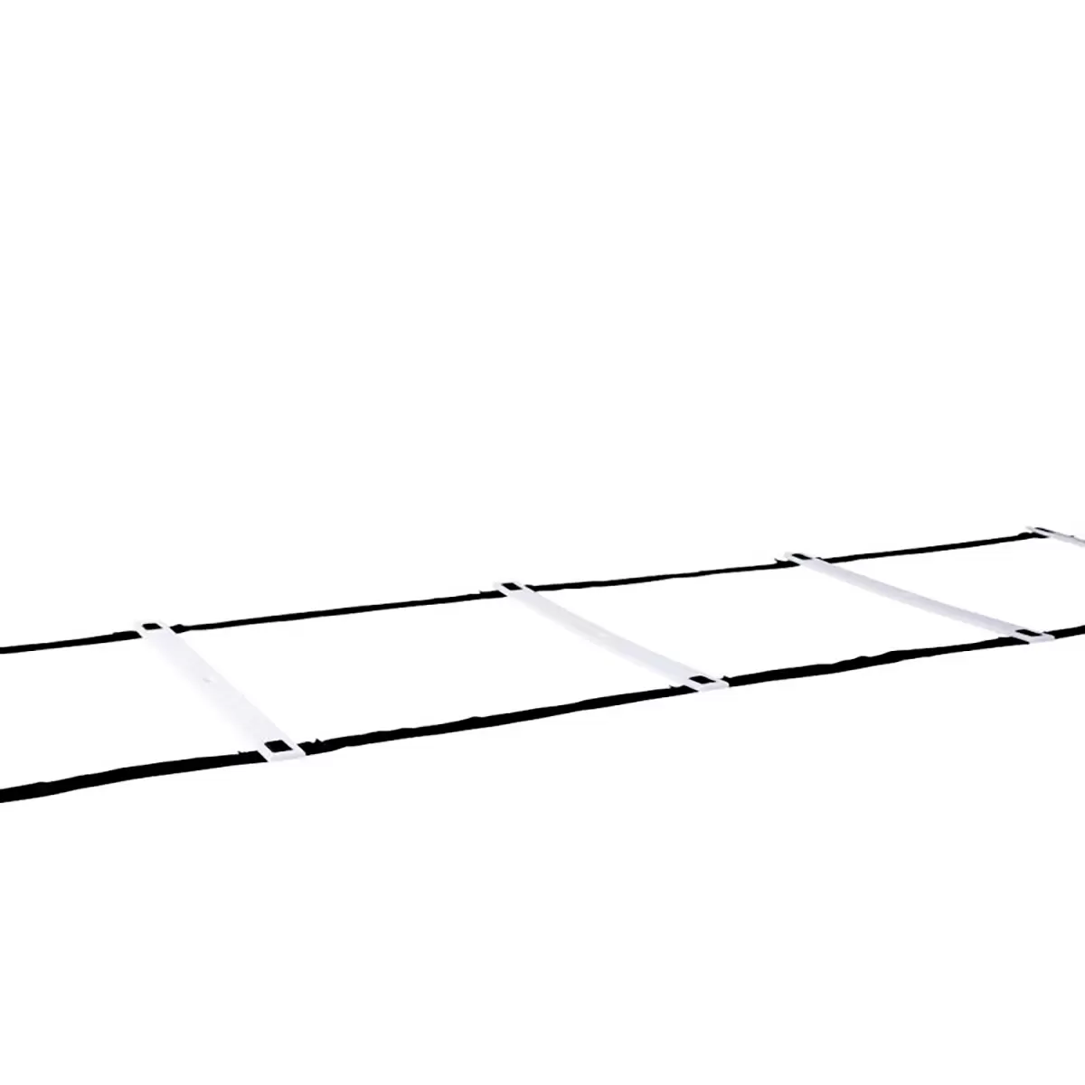 Agility Leiter / Pure2Improve