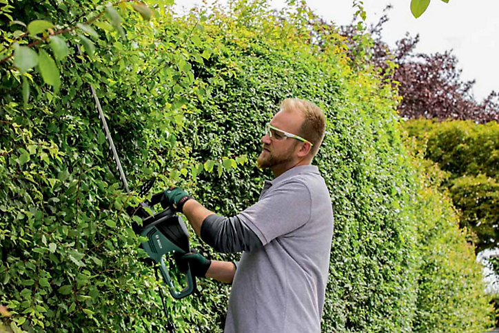 Taille-haie électrique Bosch Advanced HedgeCut 500 W 70 cm