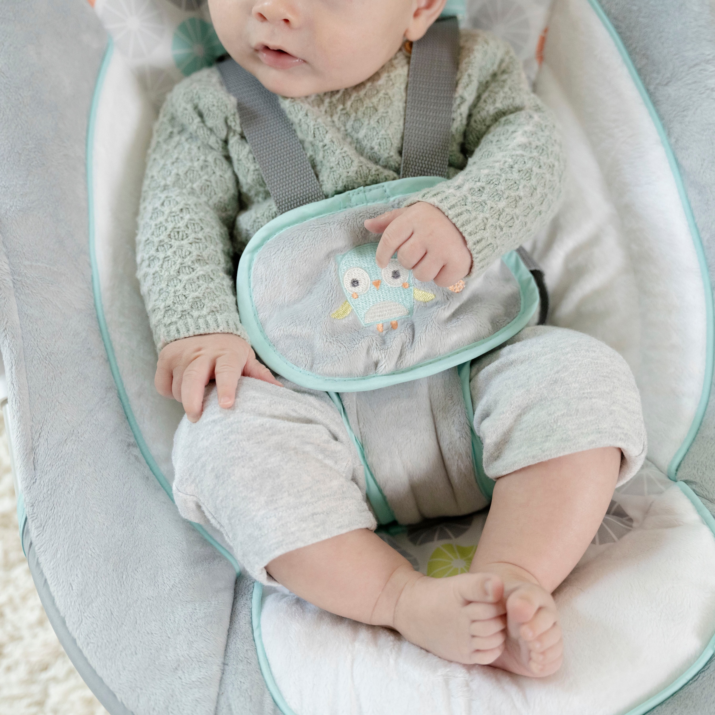 ingenuity Babyschaukel »Swing'n Go, Hugs & Hoots« bis 9 kg tragbar