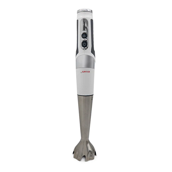Mixeur plongeant électrique sans fil 21 vitesses 150 W Jupiter