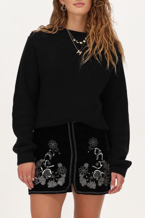 Zwart velvet rok met zilverkleurige embroidery
