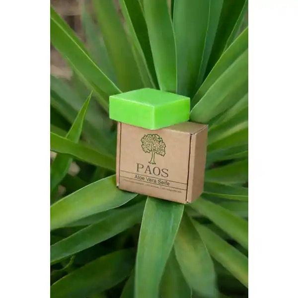 Aloe Vera Seife