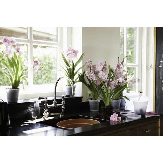Pot de culture Green Basics Orchidée, Ø 15 cm