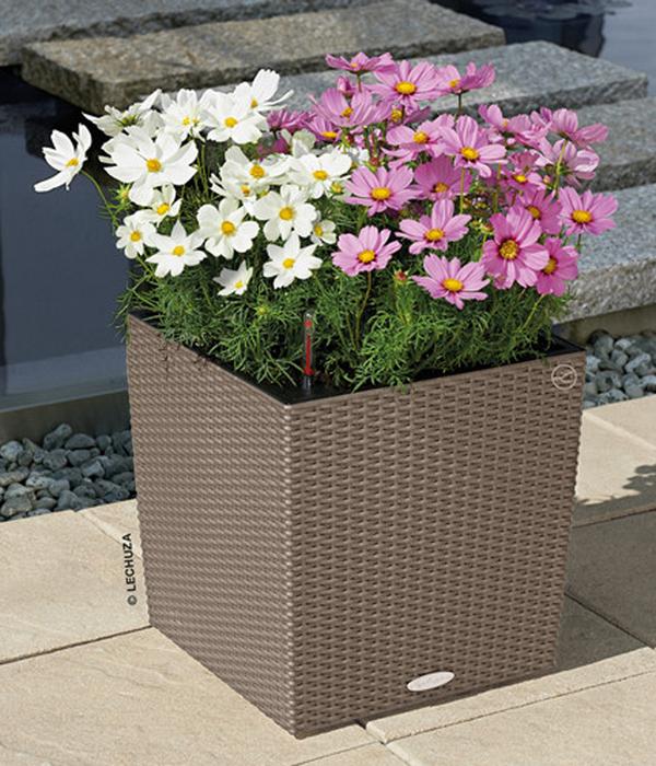 LECHUZA® Kunststoff-Topf Cube Cottage,
