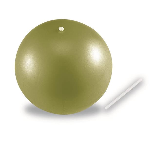 Ecobody Pilatesball