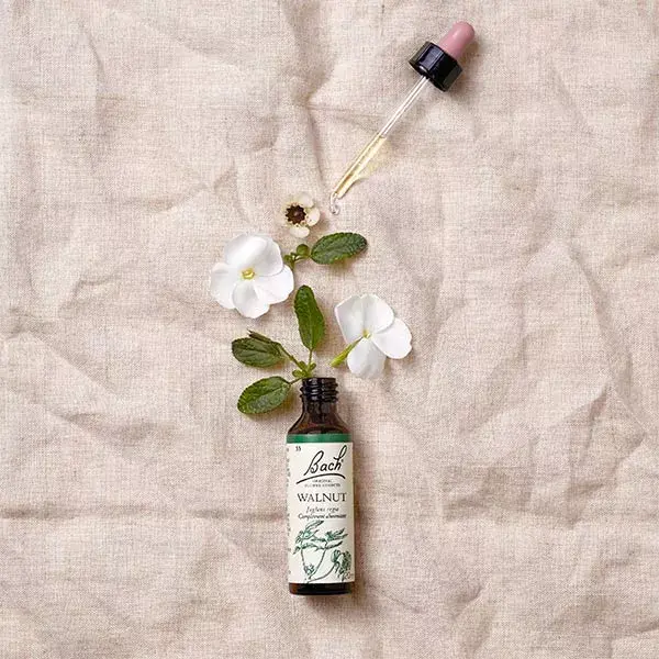 Fleurs de Bach Original - Walnut 20ml