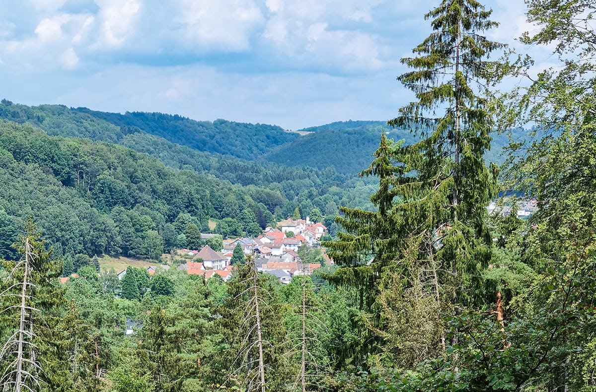 Eselwanderung Eppenbrunn für 2 (2 Std.)