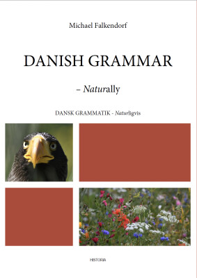 Danish Grammar - Michael Falkendorf - English Book