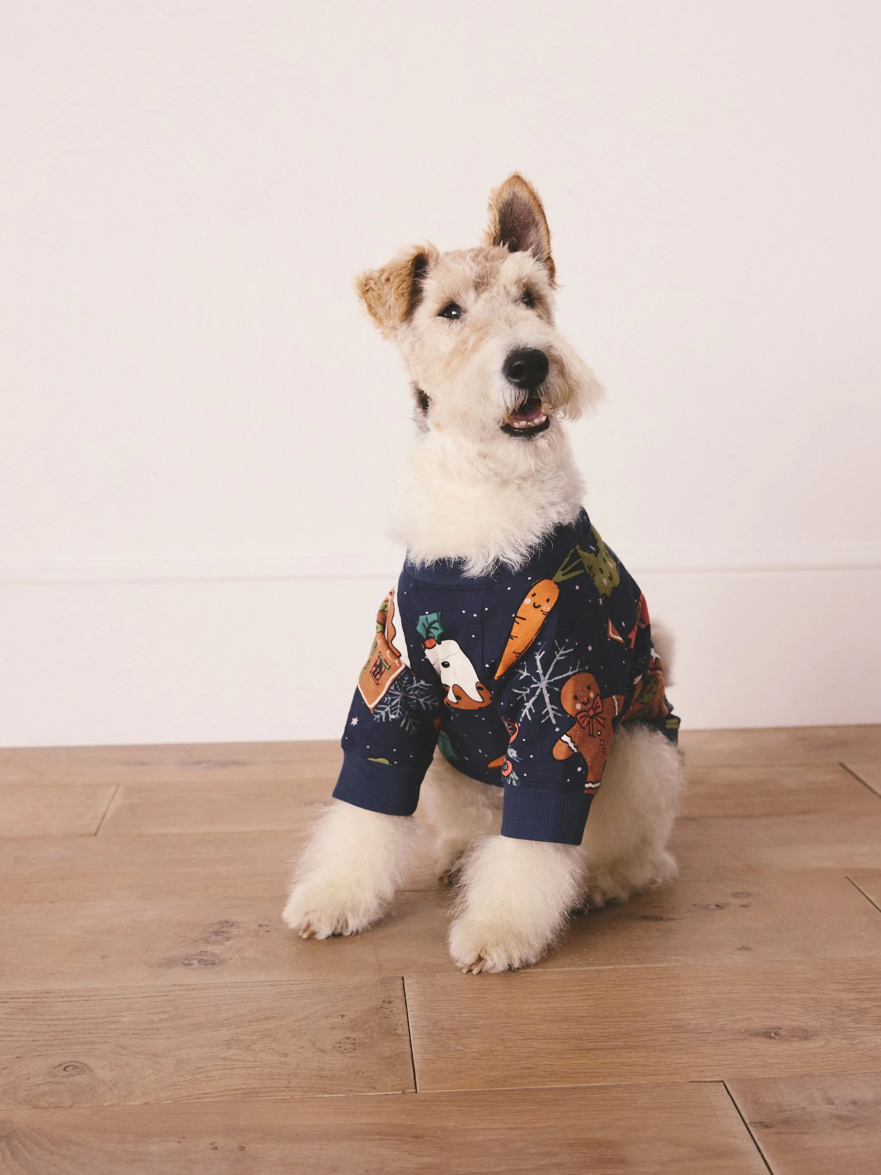 Matching Family - Behaaglijke kerstpyjama voor huisdieren
