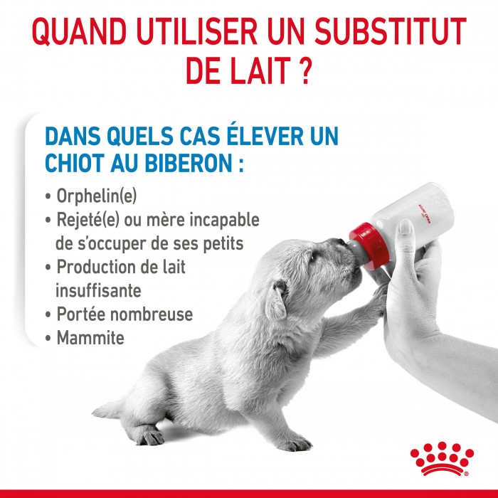 ROYAL CANIN Babydog Milk - Lait maternisé pour chiot