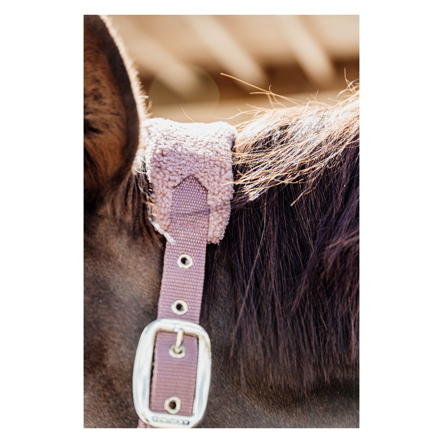 KENTUCKY Teddyfleece-Halfter - old rose