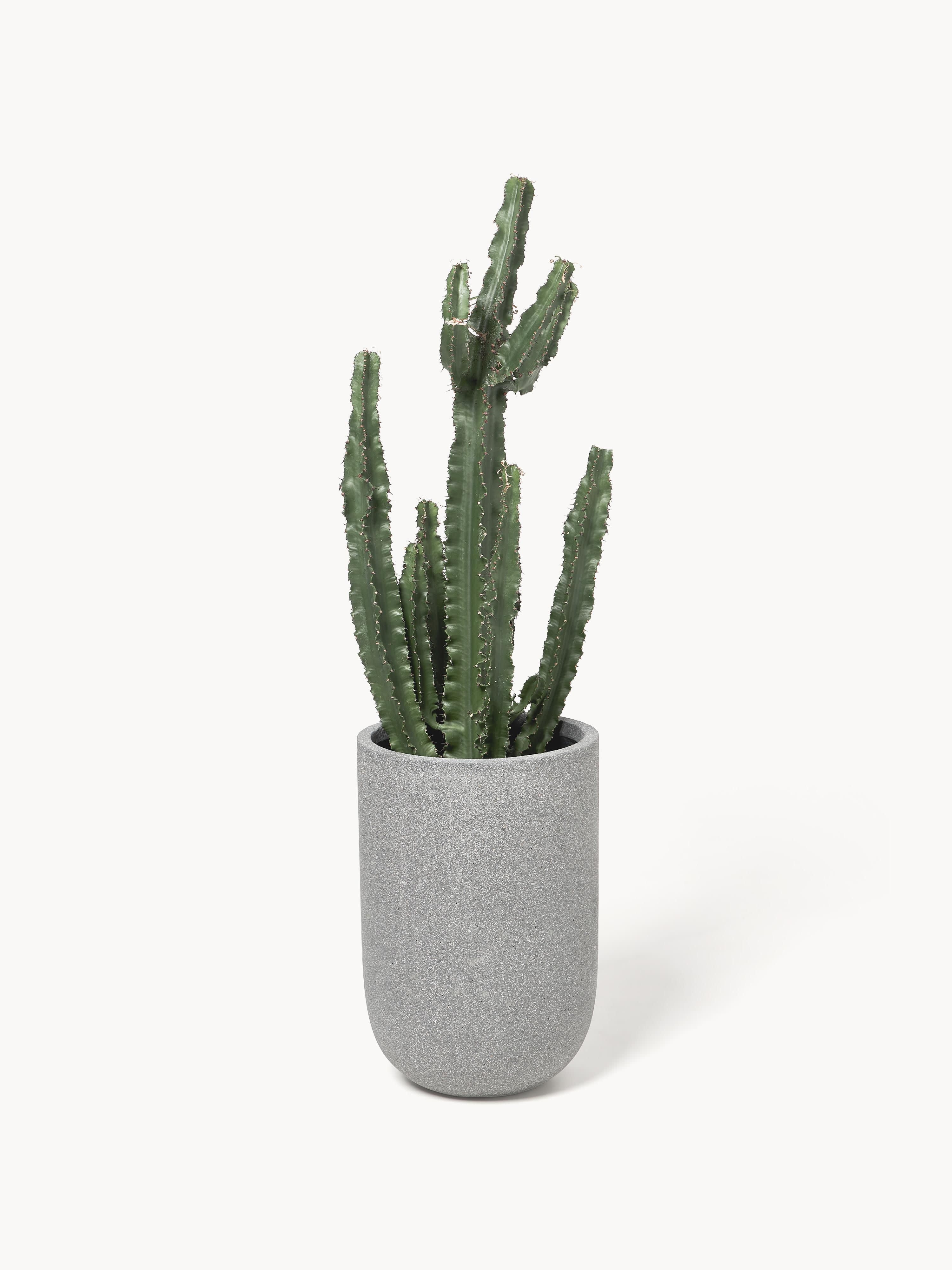 Outdoor plantenpot Tuscany van beton, H 49 cm
