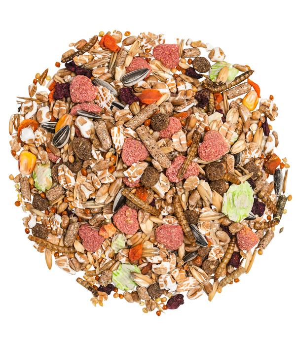 Dehner Premium Farbmäusefutter, 750 g