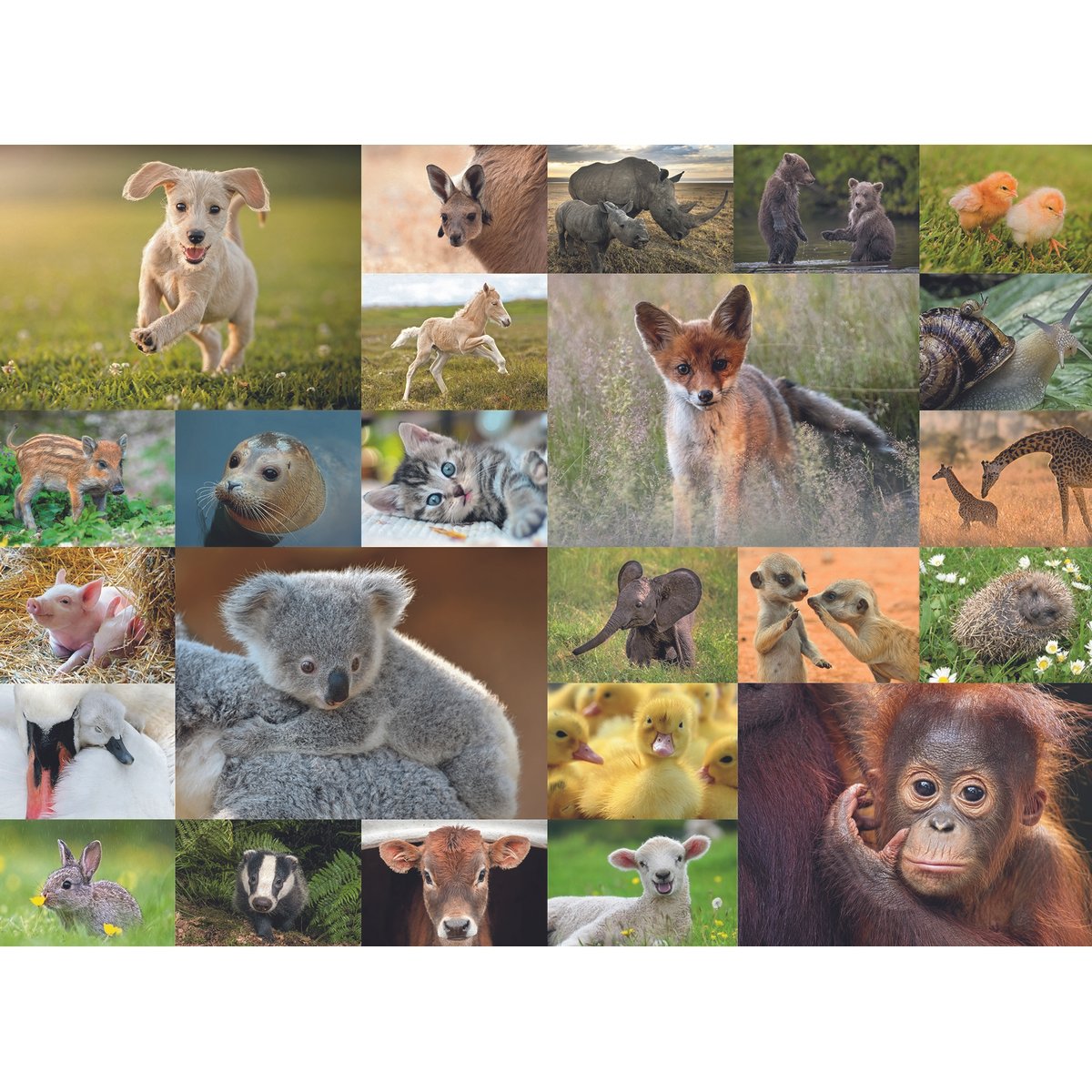 Puzzle 200 pièces XXL Adorables bébés animaux