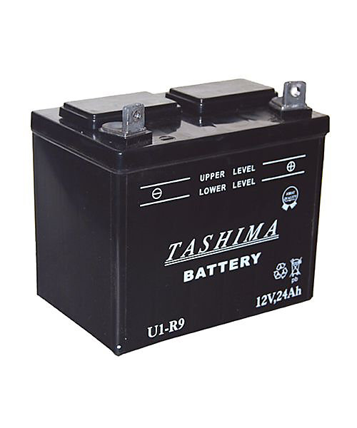 Batterie U1R9 12v - 24A