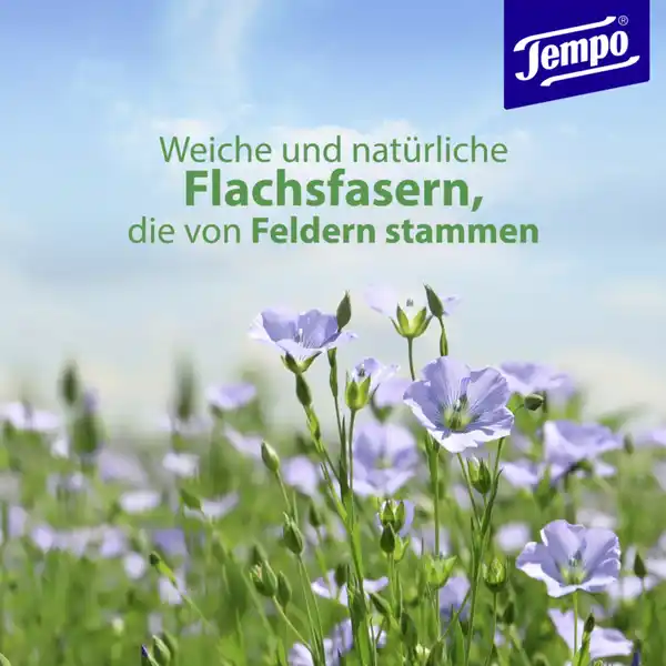 Feuchte Toilettentücher Sanft & Sensitiv Aloe Vera