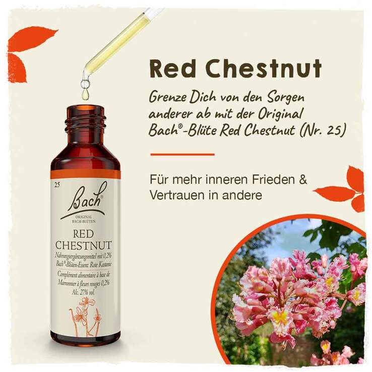 Bachblüten Nr. 25 Red Chestnut Tropfen, 20 ml
