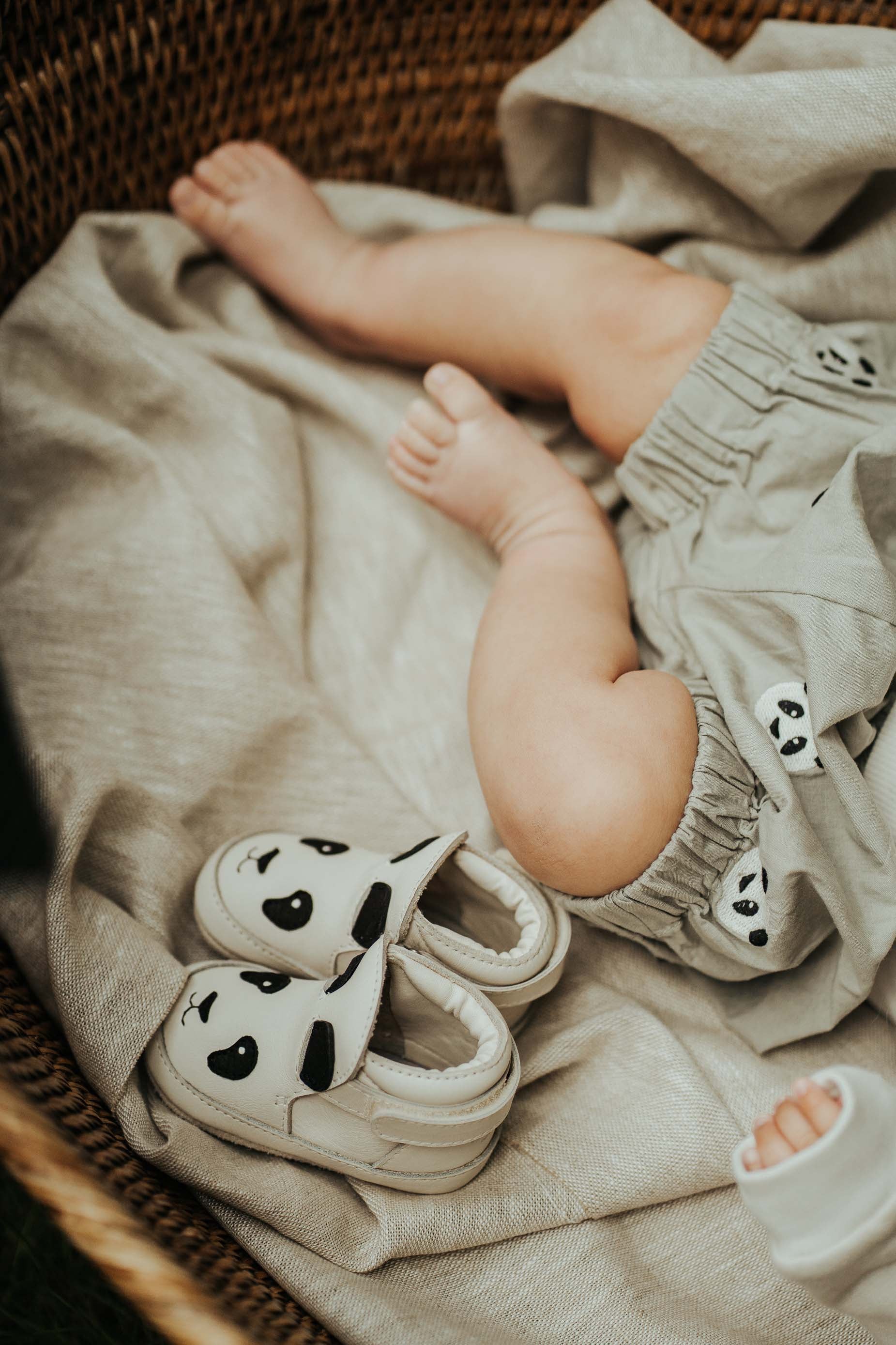 Carson Bloomers | Pandas | Silver Grey