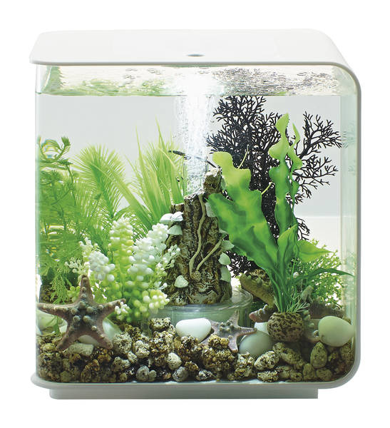 biOrb Flow 15 LED Wit | zoetwateraquarium met led en filter