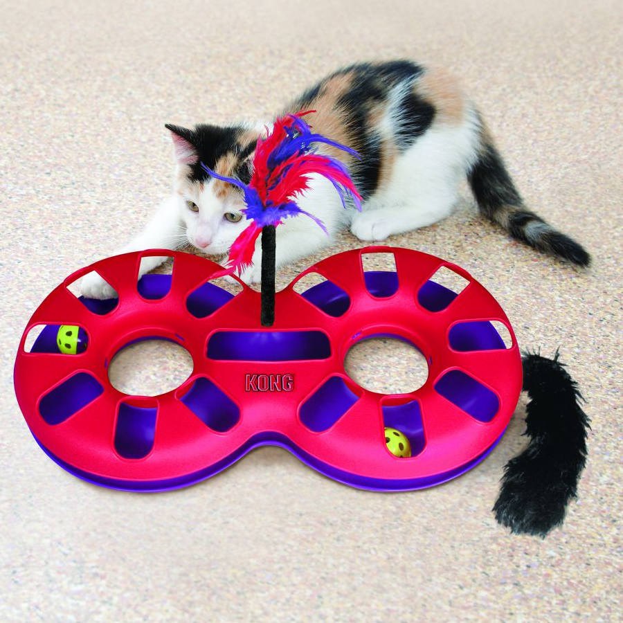 Circuito de túnel ativo Kong com bolas para gatos